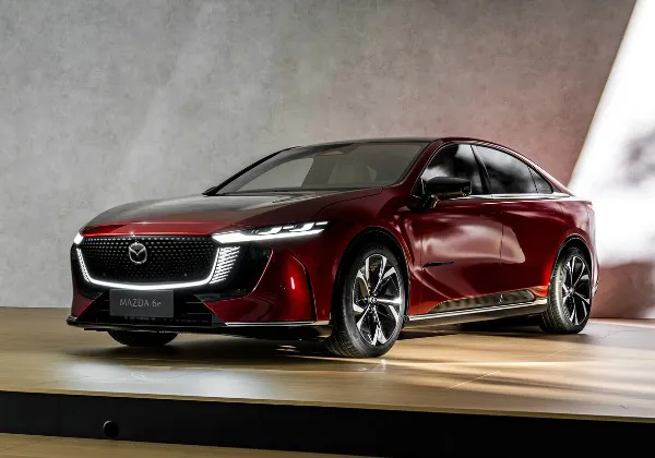 6E PIEDAVAJUMI LP 600X420