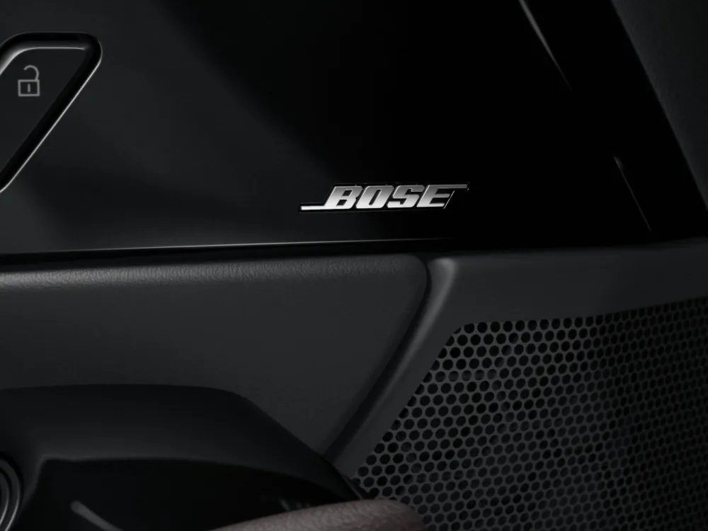 Cx 30 Speaker Boser