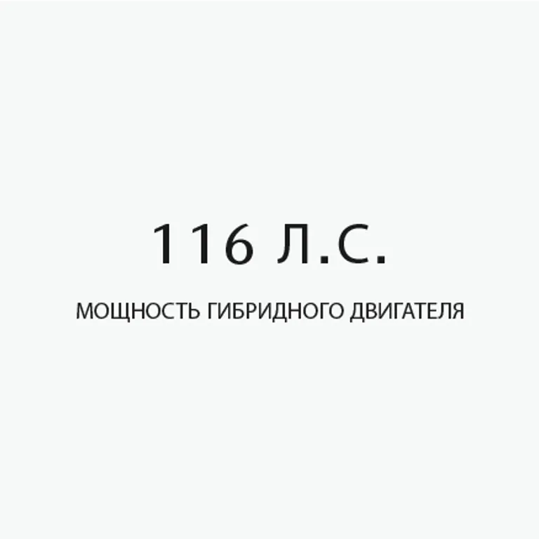 Ru 116 Ag Pilkas