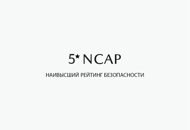Ru 5 Ncap Pilkas